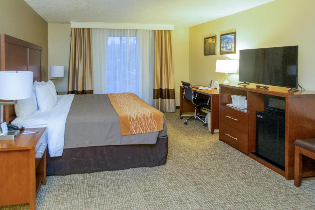 Mini-hôtel Comfort Downtown 2*