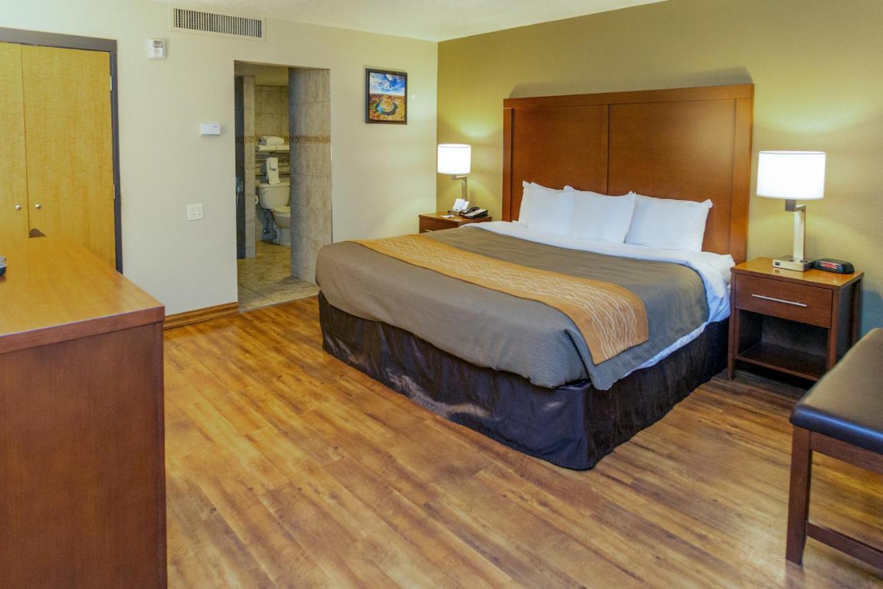 Comfort Downtown Mini-hôtel 2*