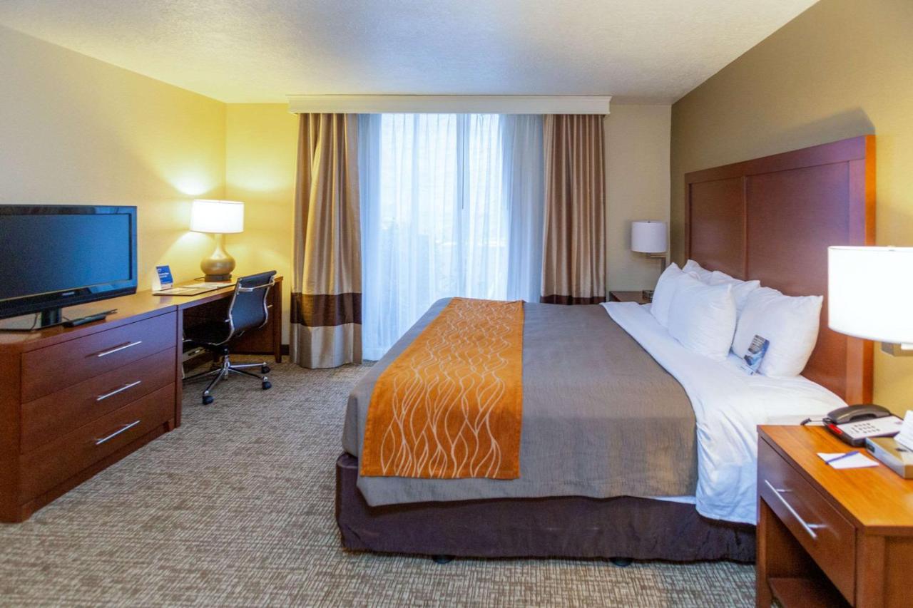 Mini-hôtel Comfort Downtown