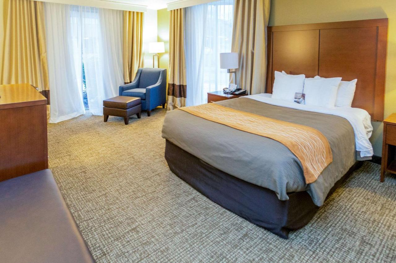 Comfort Downtown 2*