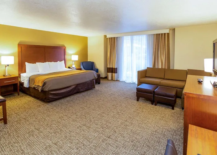 Comfort Inn Downtown
