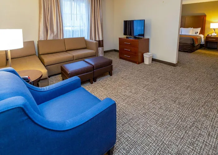 Comfort Inn Downtown